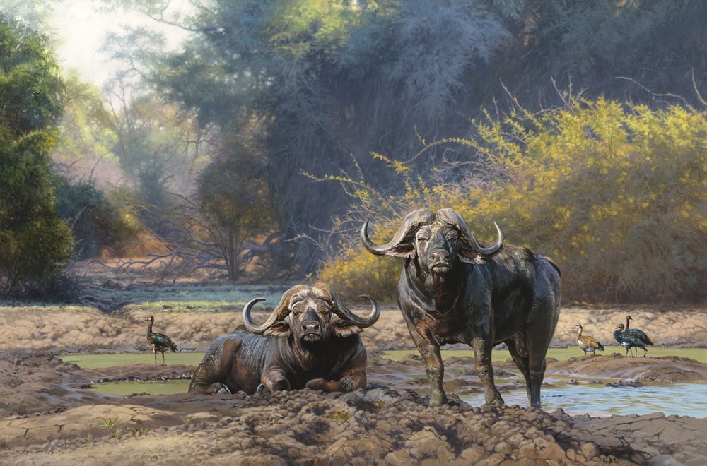 David Langmead - THE ENCOUNTER - GICLEE - 31 X 47