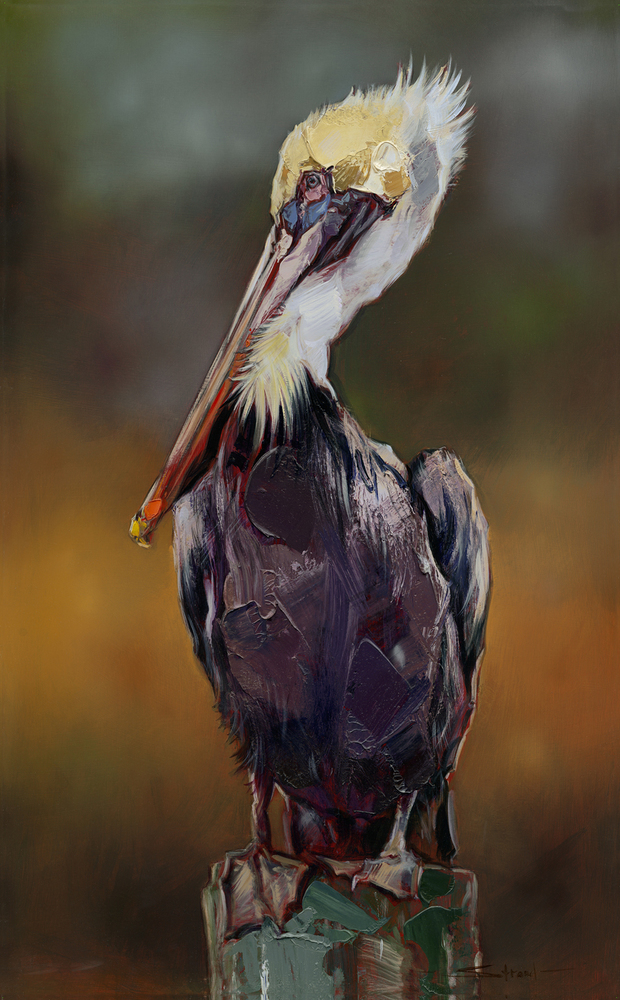 James Stroud - DIGNIFIED - GICLEE - 48 X 30