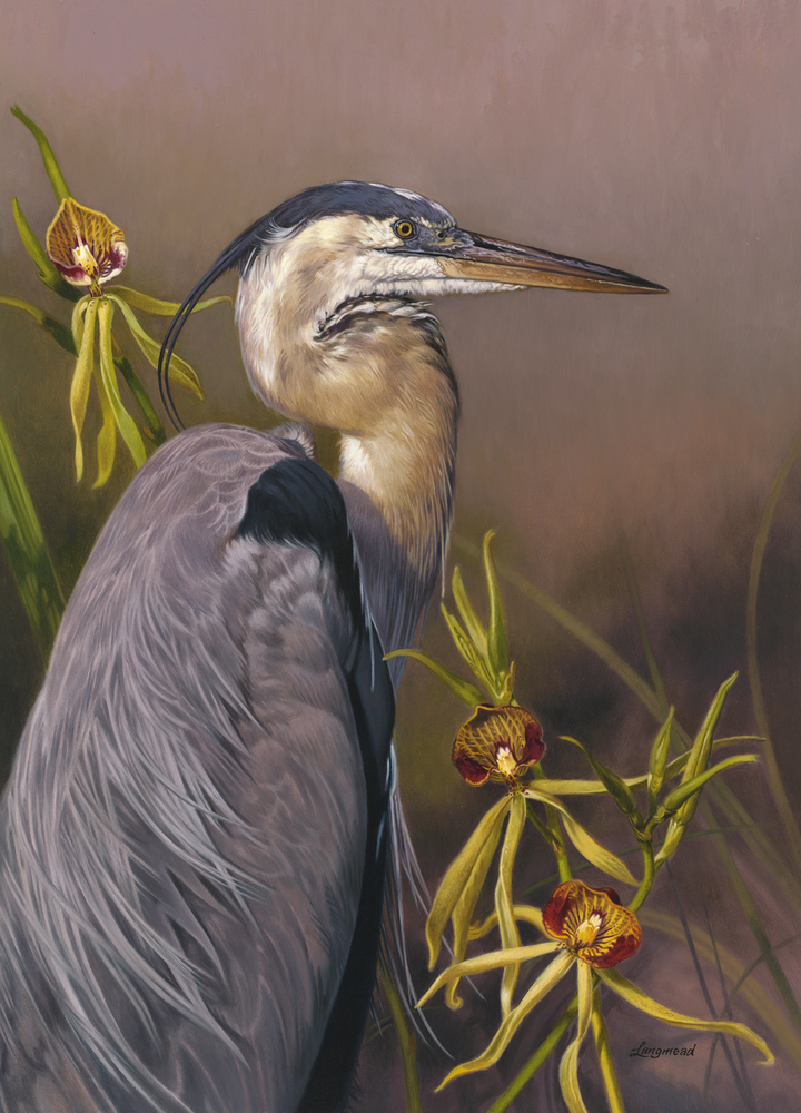 David Langmead - GREAT BLUE HERON WITH CLAMSHELL ORCHIDS - GICLEE - 24 X 18