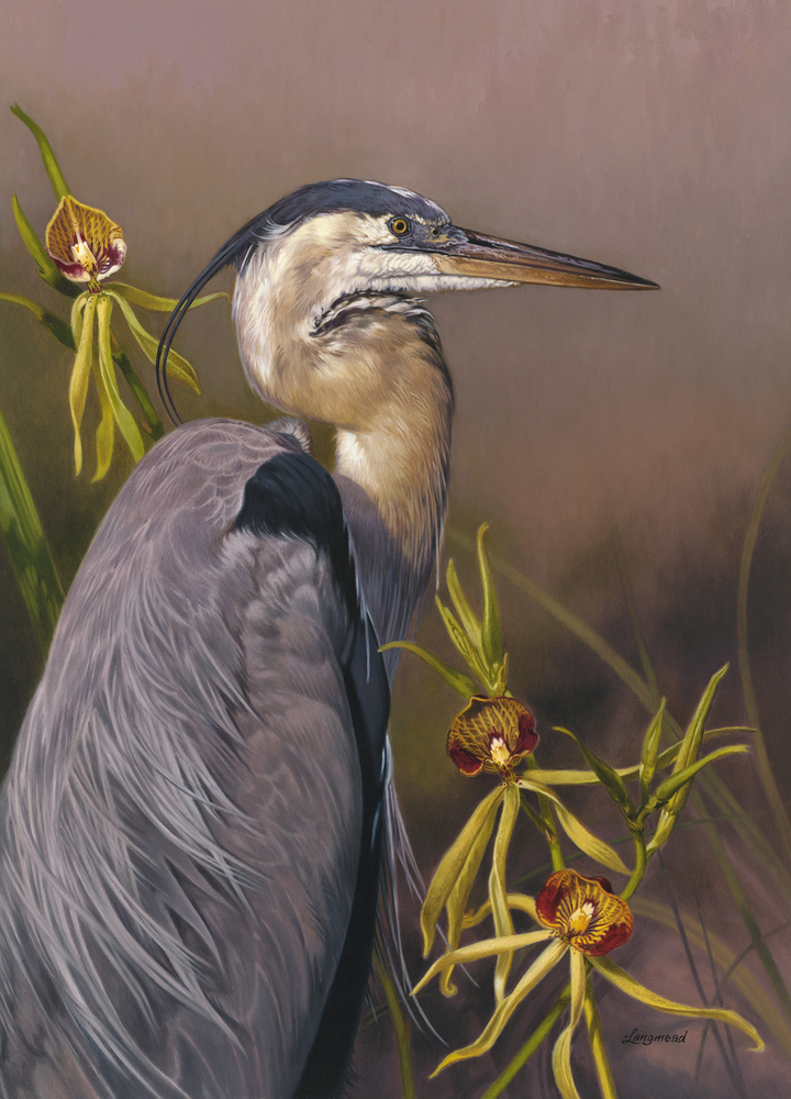 David Langmead - GREAT BLUE HERON WITH CLAMSHELL ORCHIDS David Langmead - GREAT BLUE HERON WITH CLAMSHELL ORCHIDS - GICLEE - 24 X 18