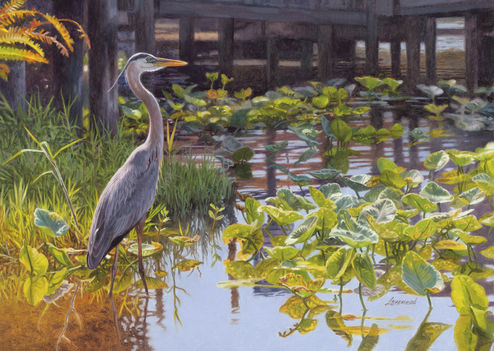 David Langmead - UNDER THE BOARDWALK - GICLEE - 12 X 17