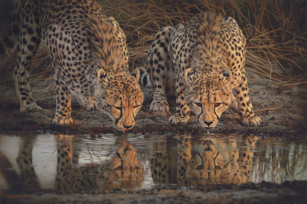 Jaco van Schalkwyk - CHEETAH: BEAUTIES OF NATURE - GICLEE - 32 X 48