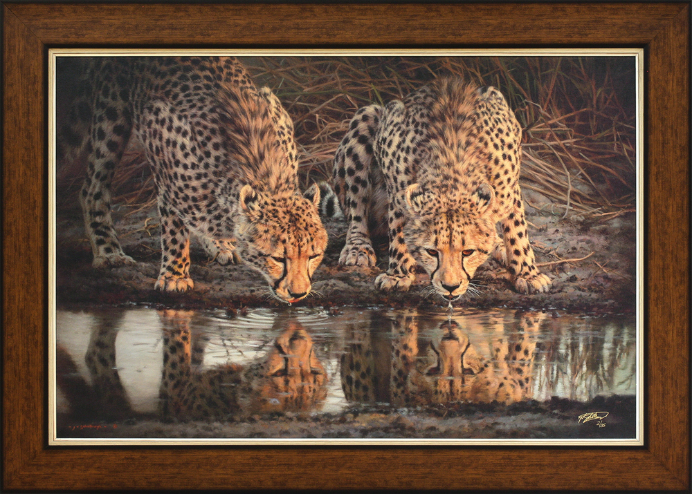 Jaco van Schalkwyk - CHEETAH: BEAUTIES OF NATURE - GICLEE - 32 X 48