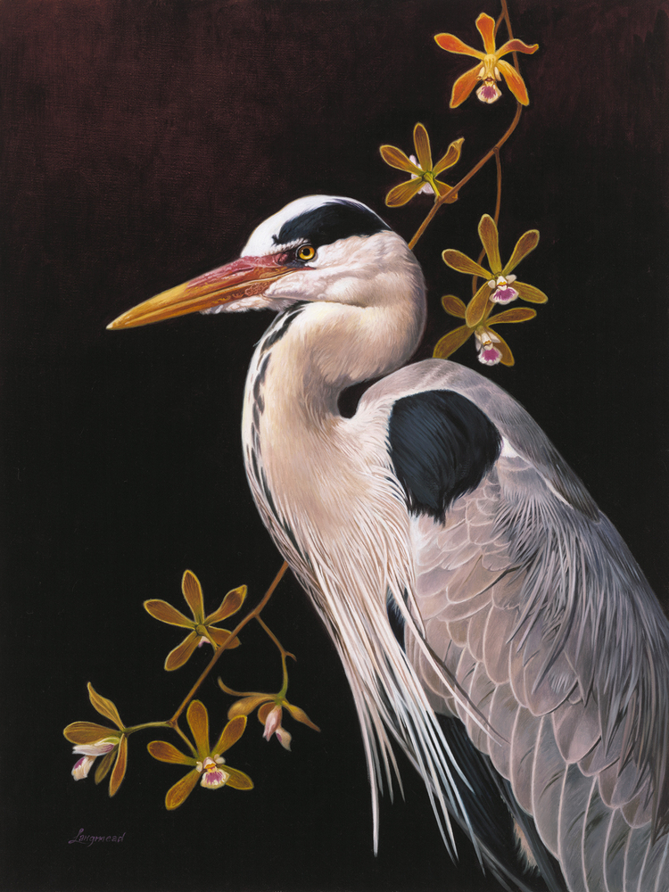 David Langmead - GREAT BLUE HERON WITH BUTTERFLY ORCHIDS David Langmead - GREAT BLUE HERON WITH BUTTERFLY ORCHIDS - GICLEE - 24 X 18