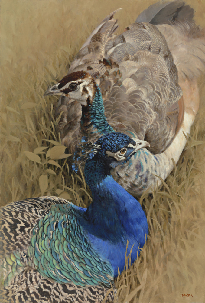 Claire Naylor - COURTSHIP - GICLEE - 29 1/2 X 20