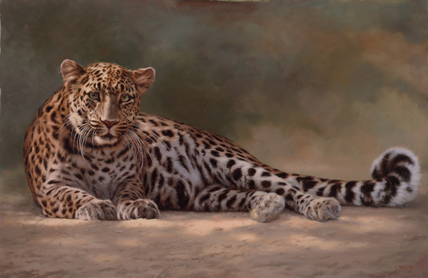 Claire Naylor - LEOPARD TO A LOVESONG Claire Naylor - LEOPARD TO A LOVESONG - GICLEE - 24 X 36