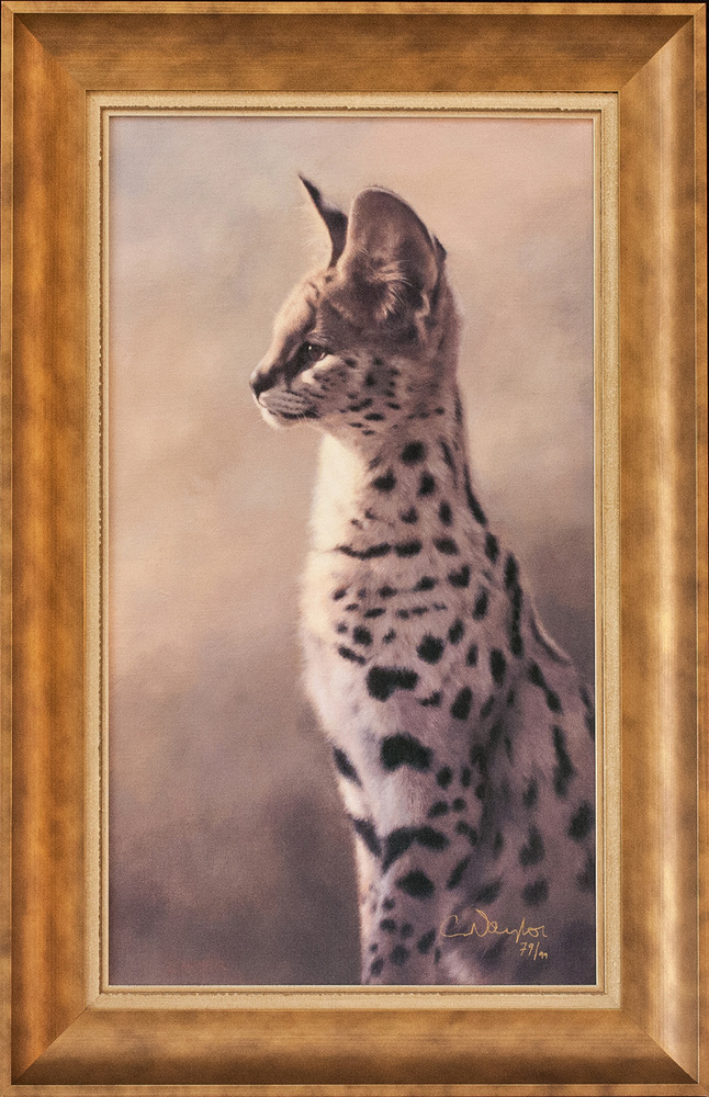 Claire Naylor - SERVAL SENTRY - GICLEE - 24 X 14