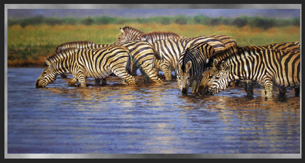 David Langmead - ZEBRA RIPPLES David Langmead - ZEBRA RIPPLES - GICLEE - 16 x 32