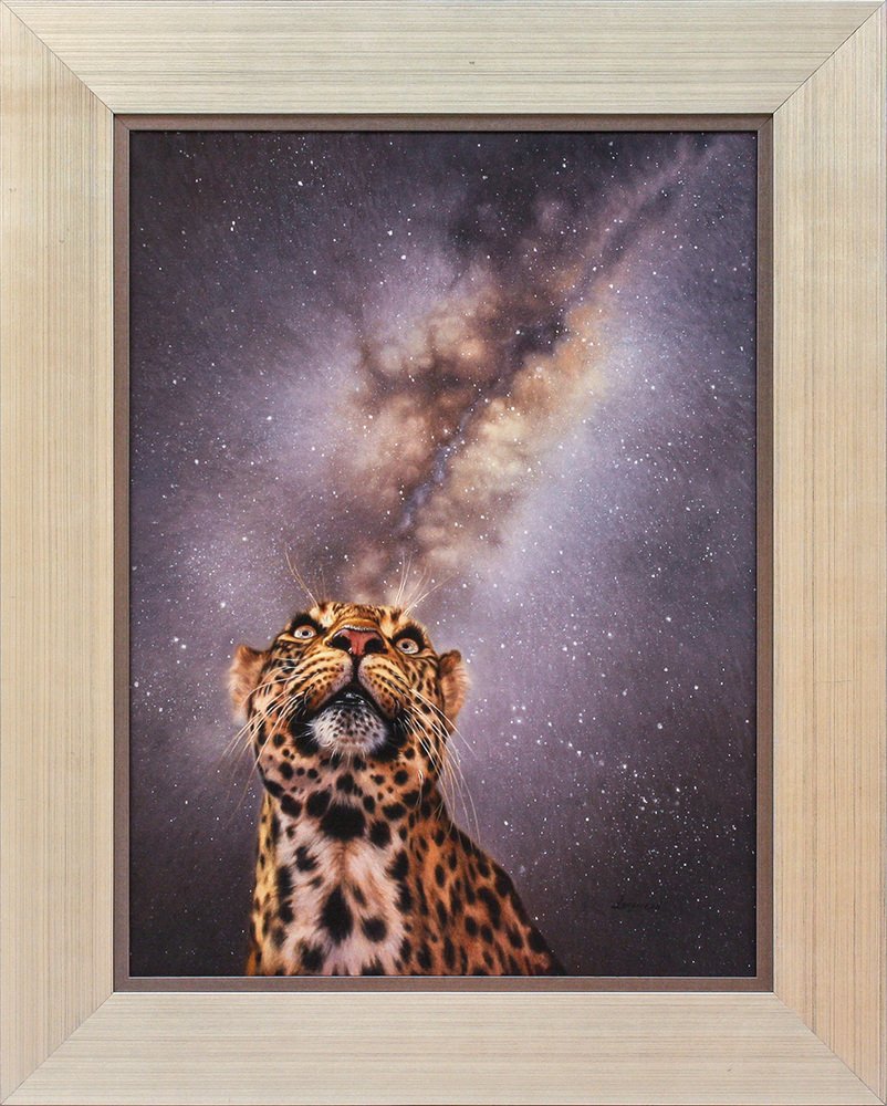 David Langmead - NIGHT SKY IN THE LEOPARD'S EYE - GICLEE - 24 x 18