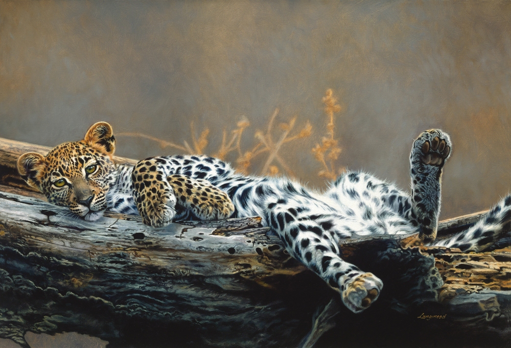 David Langmead - NATURE'S CRADLE - GICLEE - 18 X 27