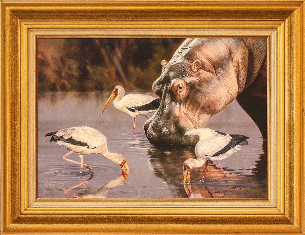 David Langmead - HOBNOBBING HIPPO - GICLEE - 17 X 25