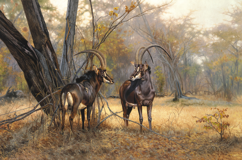 David Langmead - UNDER THE MOPANE - GICLEE - 31 x 47