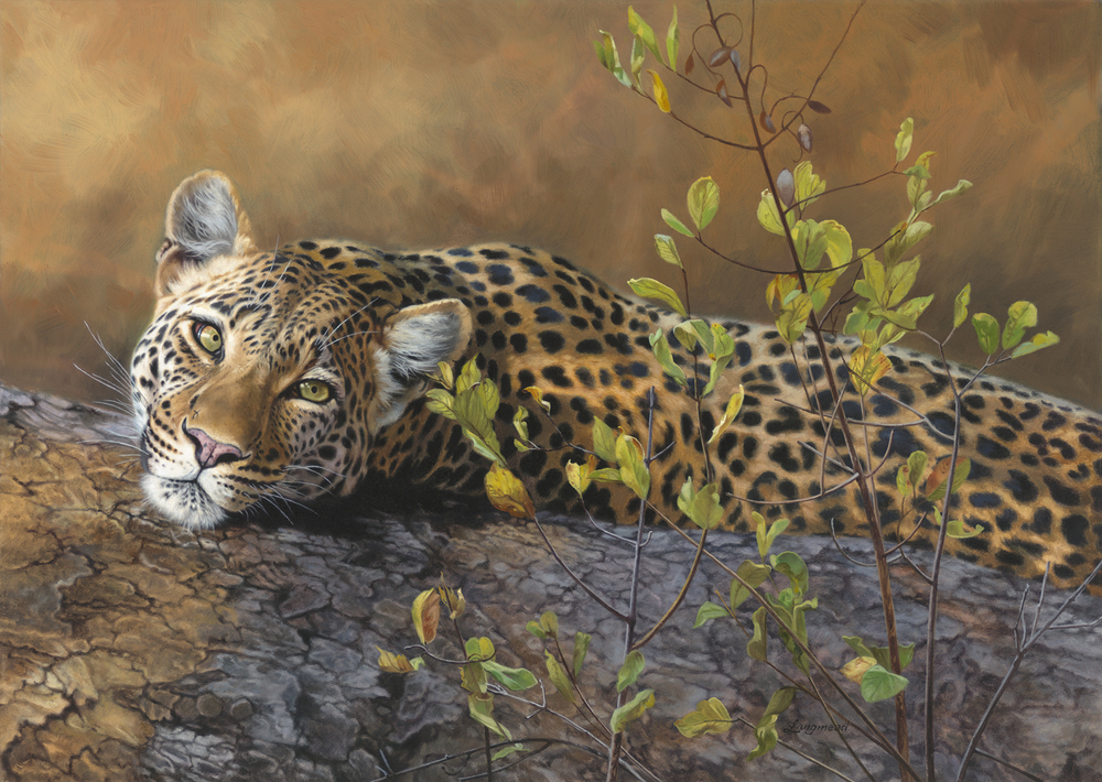 David Langmead - WHO'S THERE? David Langmead - WHO'S THERE? - GICLEE - 18 X 25