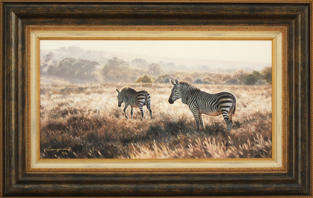 David Langmead - MOUNTAIN ZEBRA MOOD - GICLEE - 12 x 24