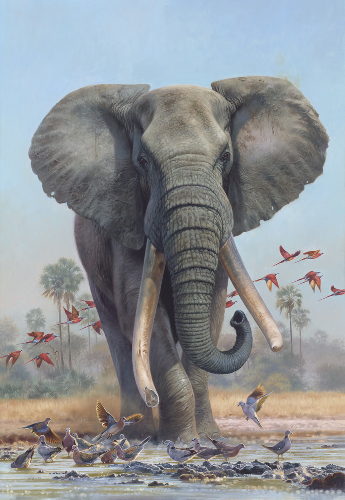 David Langmead - MAKURU (REDUCED SIZE) David Langmead - MAKURU (REDUCED SIZE) - GICLEE - 51 X 35