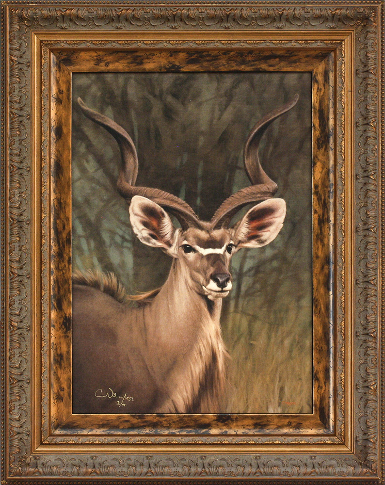 Claire Naylor - CLAIRE NAYLOR - GHOST OF THE BUSHVELD Claire Naylor - CLAIRE NAYLOR - GHOST OF THE BUSHVELD - PRINT - 24 X 17
