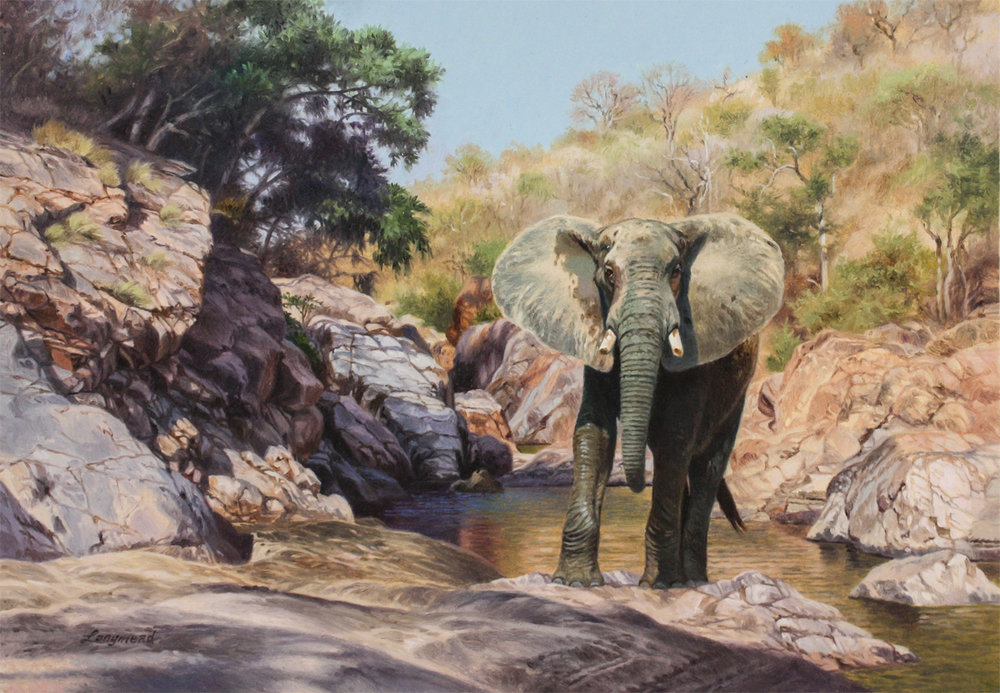 David Langmead - THE FARAWAY POOL - OIL ON PANEL - 11 7/8 X 17