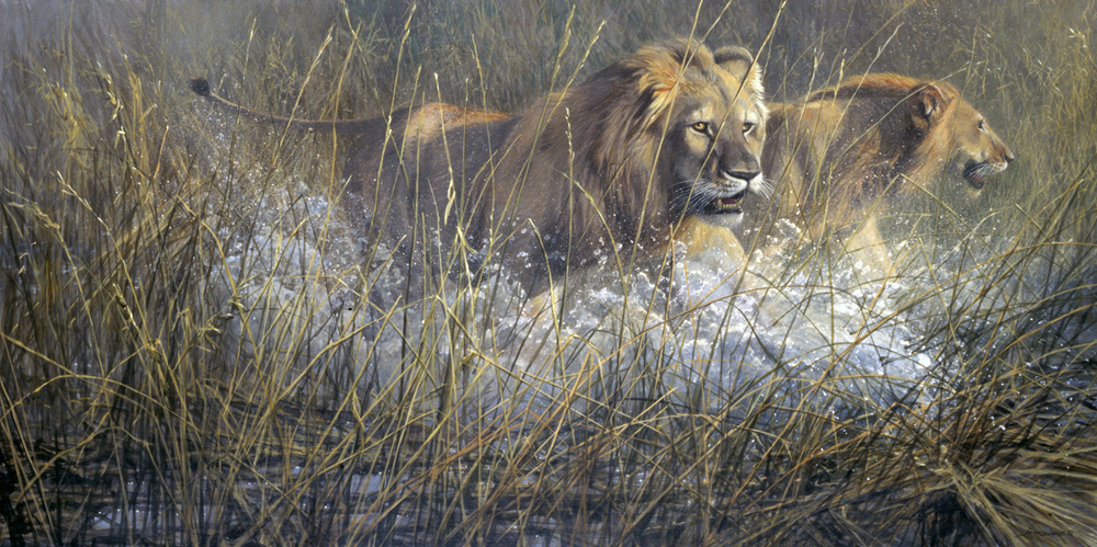John Seerey-Lester - MARSH LIONS John Seerey-Lester - MARSH LIONS - GICLEE - 24 X 36