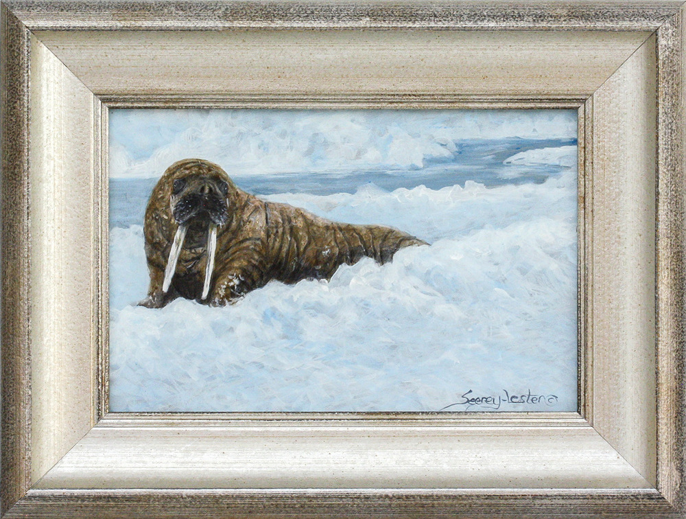 John Seerey-Lester - WALRUS STUDY - ACRYLIC ON PANEL - 6 X 9