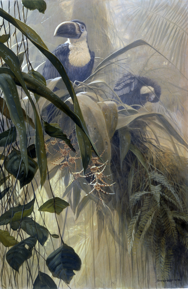 John Seerey-Lester - CANOPY DAWN John Seerey-Lester - CANOPY DAWN - GICLEE - 30 X 20