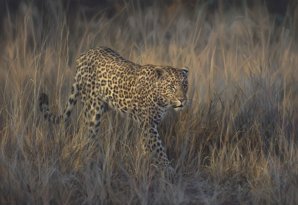 Jaco van Schalkwyk - LORD OF THE SAVANNAH - GICLEE - 33 X 48