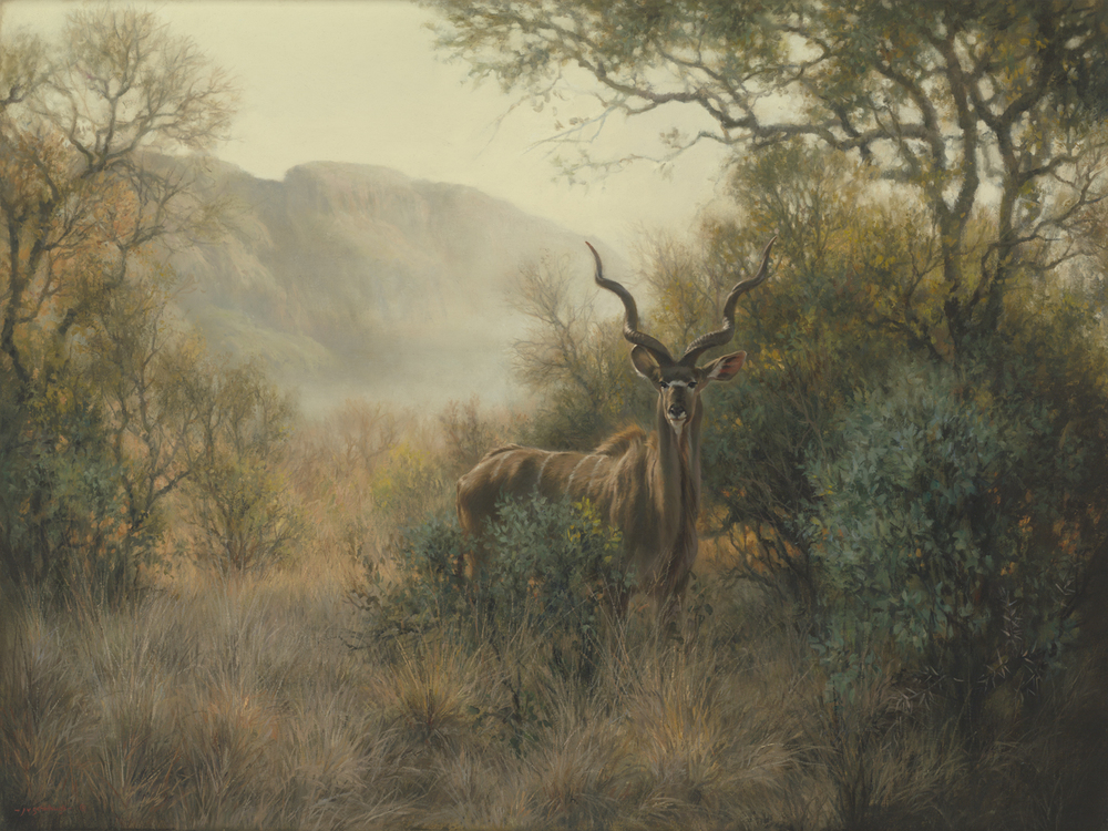 Jaco van Schalkwyk - KUDU: ENTABENI - GICLEE - 30 X 40