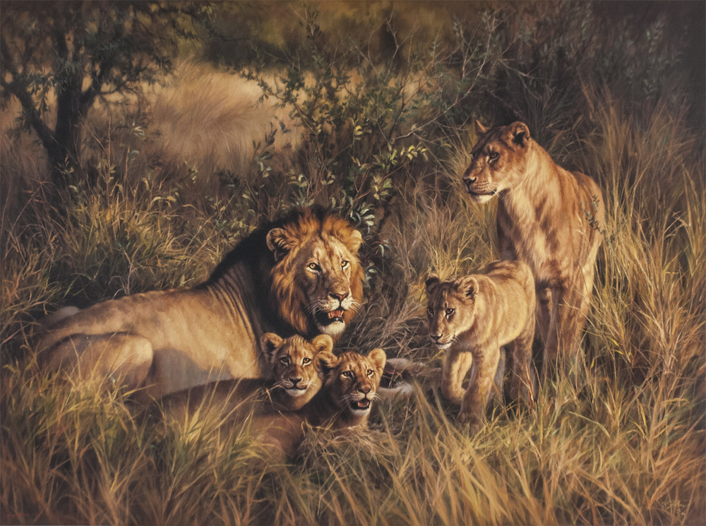 Jaco van Schalkwyk - ROYAL FAMILY Jaco van Schalkwyk - ROYAL FAMILY - GICLEE - 52 X 70