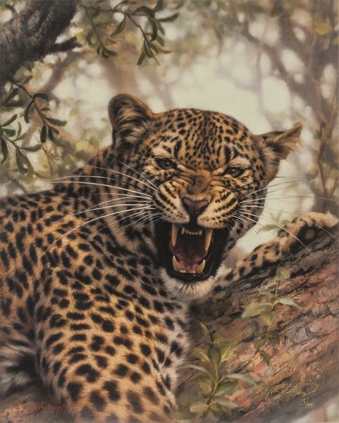 Jaco van Schalkwyk - FAST AND FURIOUS - GICLEE - 20 X 16