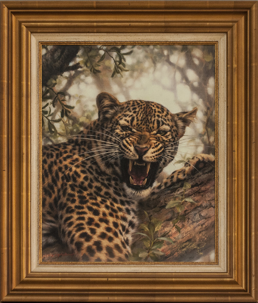 Jaco van Schalkwyk - FAST AND FURIOUS - GICLEE - 20 X 16