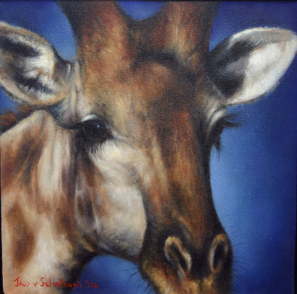 Jaco van Schalkwyk - GIRAFFE PORTRAIT - OIL - 12 X 11 1/2