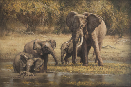 Jaco van Schalkwyk - ELEPHANTS BATHING-LAKE KARIBA - OIL - 20 X 30