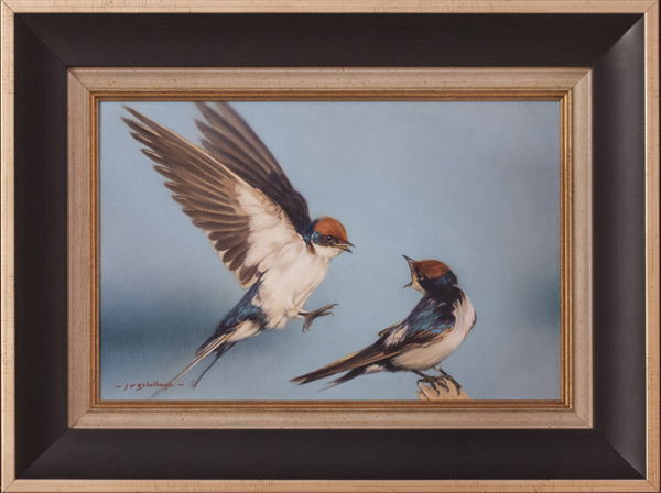 Jaco van Schalkwyk - EUROPEAN SWALLOW: LOVE IS IN THE AIR - OIL - 10 X 15