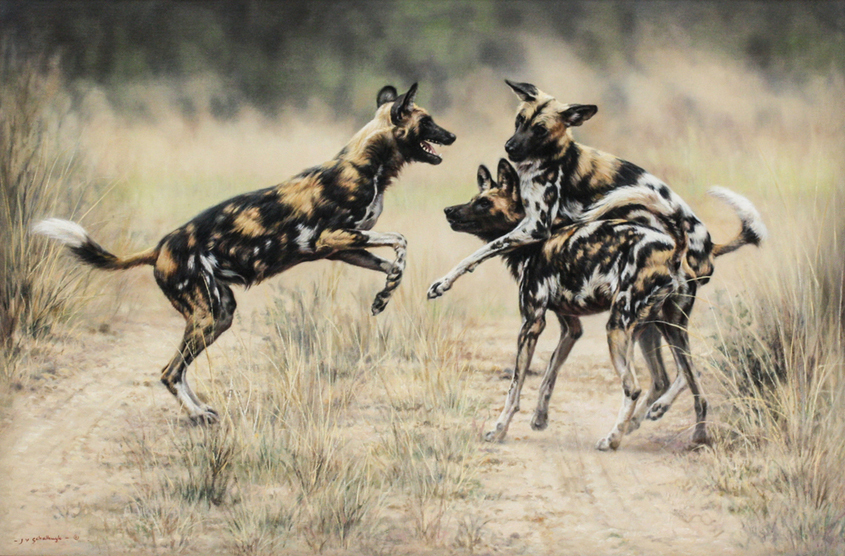 Jaco van Schalkwyk - ROAD PLAY - OIL ON BELGIAN LINEN - 31 1/2 X 47 3/4