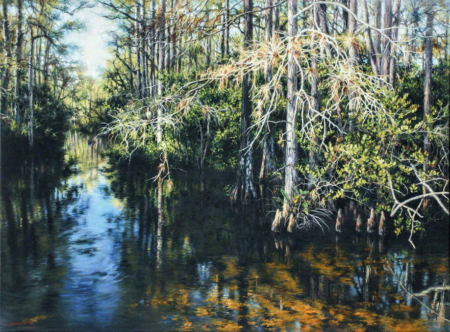 Jaco van Schalkwyk - BACK WATERS - OIL ON BELGIAN LINEN - 45 X 60