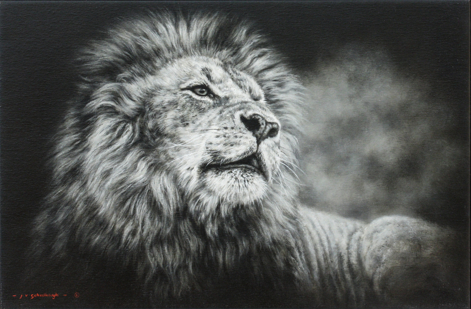 Jaco van Schalkwyk - A LION'S CALL - OIL ON BELGIAN LINEN - 20 X 30