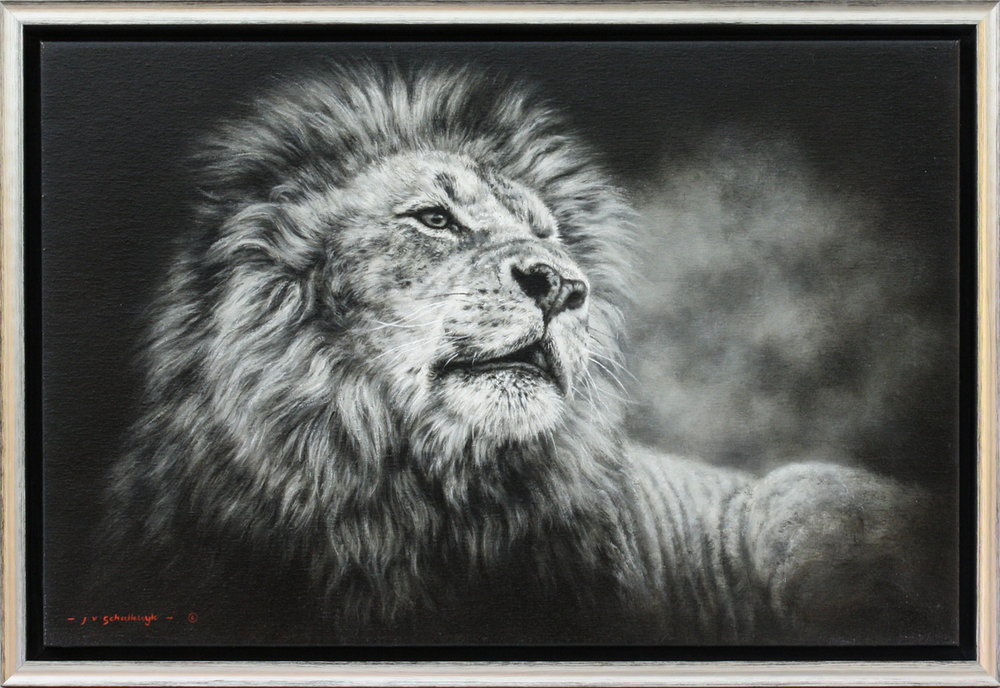 Jaco van Schalkwyk - A LION'S CALL - OIL ON BELGIAN LINEN - 20 X 30