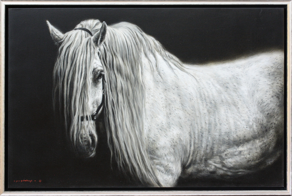 Jaco van Schalkwyk - SPIRIT (PERCHERON) - OIL ON CANVAS - 30 X 45 3/4