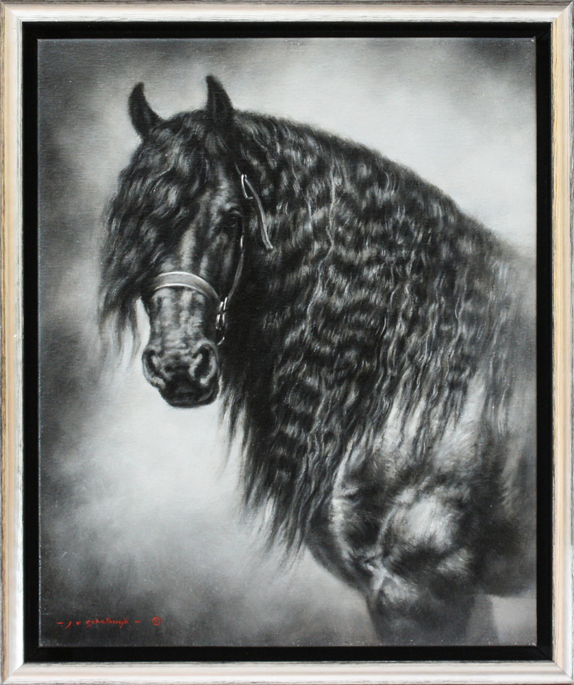 Jaco van Schalkwyk - PHANTOM (FRIESIAN) - OIL ON BELGIAN LINEN - 21 3/4 X 17 3/4