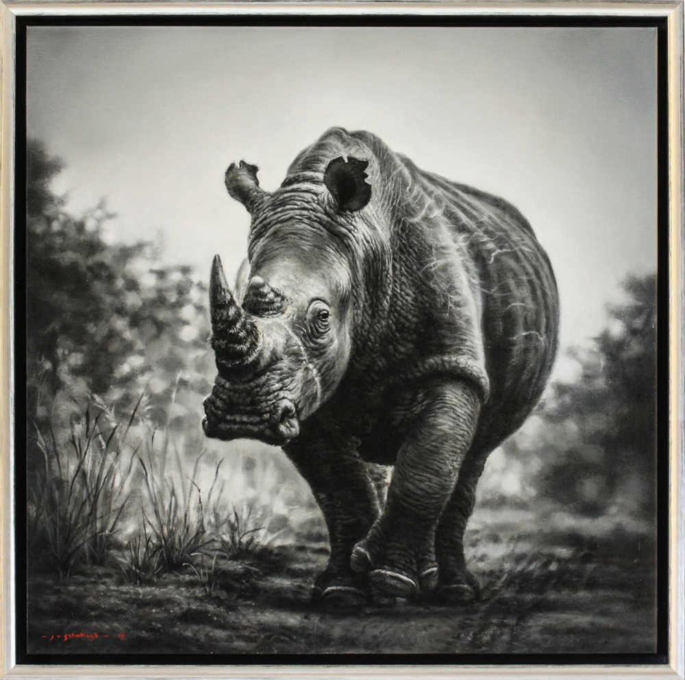 Jaco van Schalkwyk - THICK SKINNED - OIL ON BELGIAN LINEN - 31 3/4 X 31 3/4