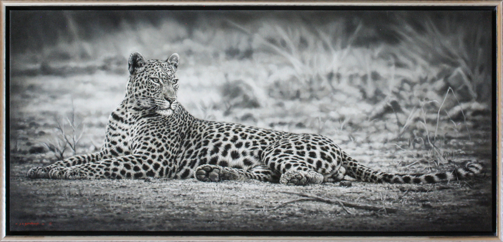 Jaco van Schalkwyk - LEOPARD: FASHION OF A CAT - OIL ON BELGIAN LINEN - 27 5/8 X 59 3/4