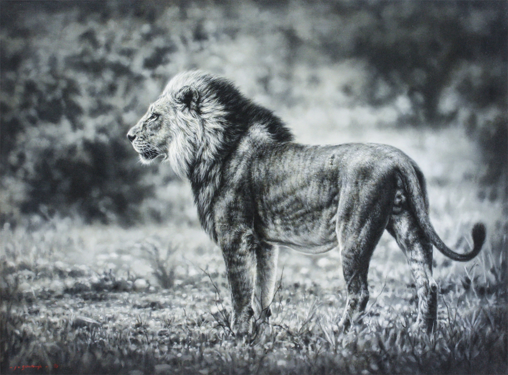 Jaco van Schalkwyk - LION: PRIMAL GLARE - OIL ON BELGIAN LINEN - 35 3/4 X 47 3/4