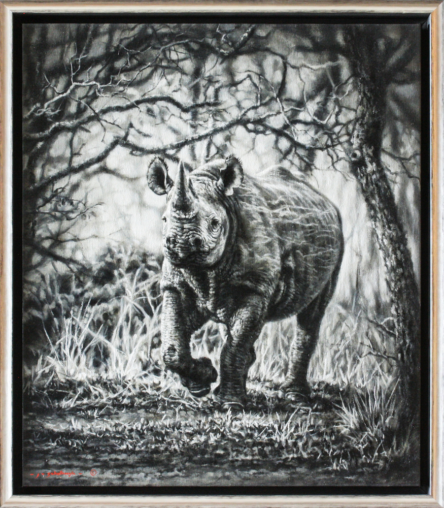 Jaco van Schalkwyk - RHINO: A CERTAIN GRACE - OIL ON BELGIAN LINEN - 28 1/4 X 24 1/4