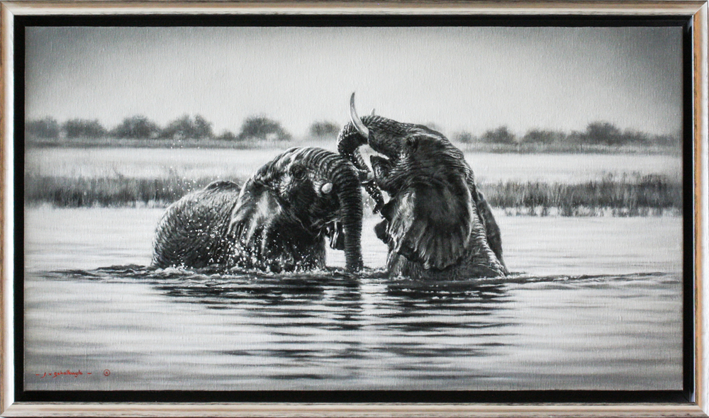 Jaco van Schalkwyk - ELEPHANTS: HAPPY HOUR - OIL ON BELGIAN LINEN - 20 X 35 7/8