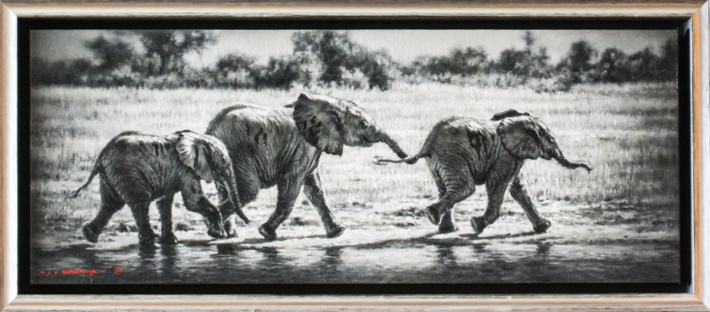 Jaco van Schalkwyk - ELEPHANTS: WATER ESCAPADES - OIL ON BELGIAN LINEN - 11 3/4 X 29 7/8