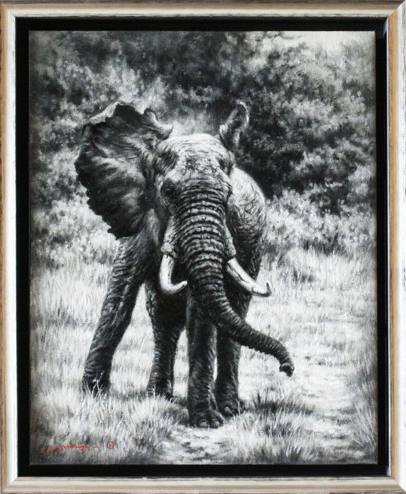 Jaco van Schalkwyk - ELEPHANT: THE INTIMIDATOR - OIL ON BELGIAN LINEN - 19 7/8 X 15 7/8