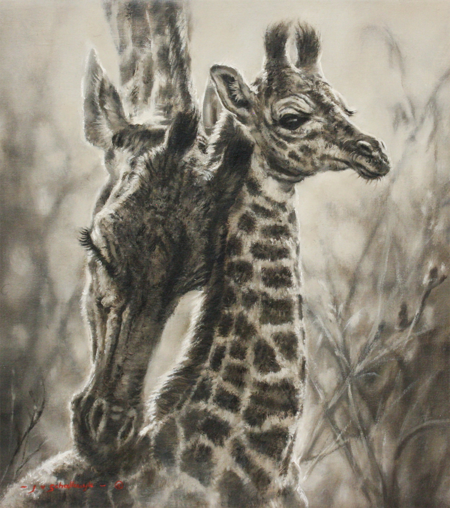 Jaco van Schalkwyk - SAFE - OIL ON BELGIAN LINEN - 17 3/4 X 15 3/4
