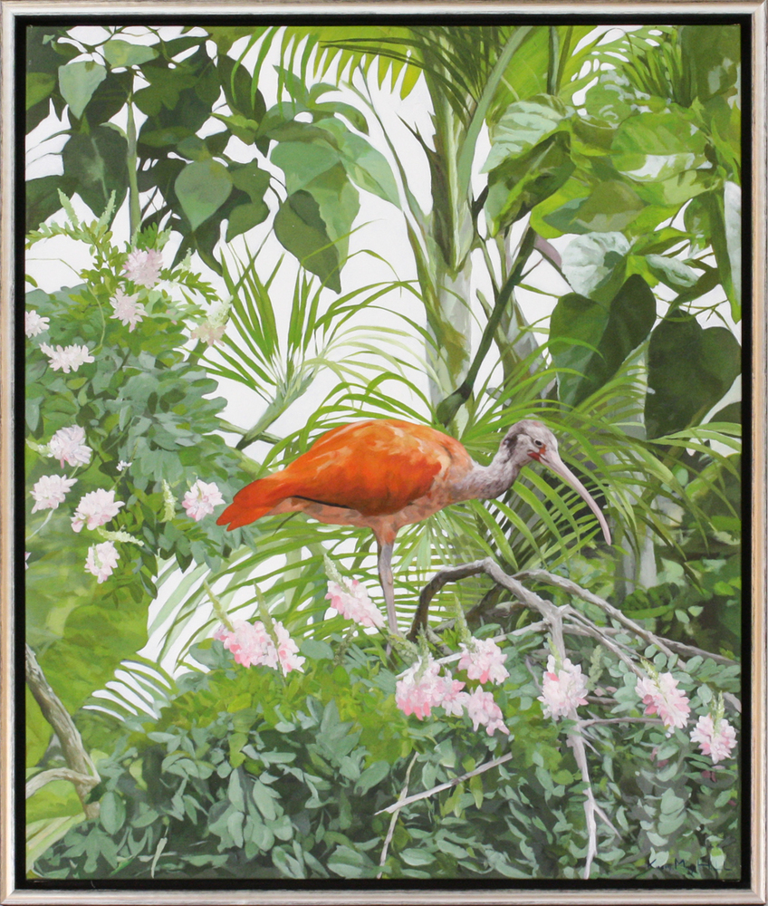 Kirsty May Hall - ONE SCARLET IBIS - GICLEE - 47 X 39