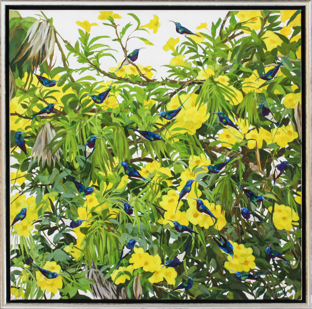 Kirsty May Hall - BLUE AND PURPLE SUNBIRDS YELLOW - ACRYLIC ON  CANVAS - 39 1/4 X 39 1/4
