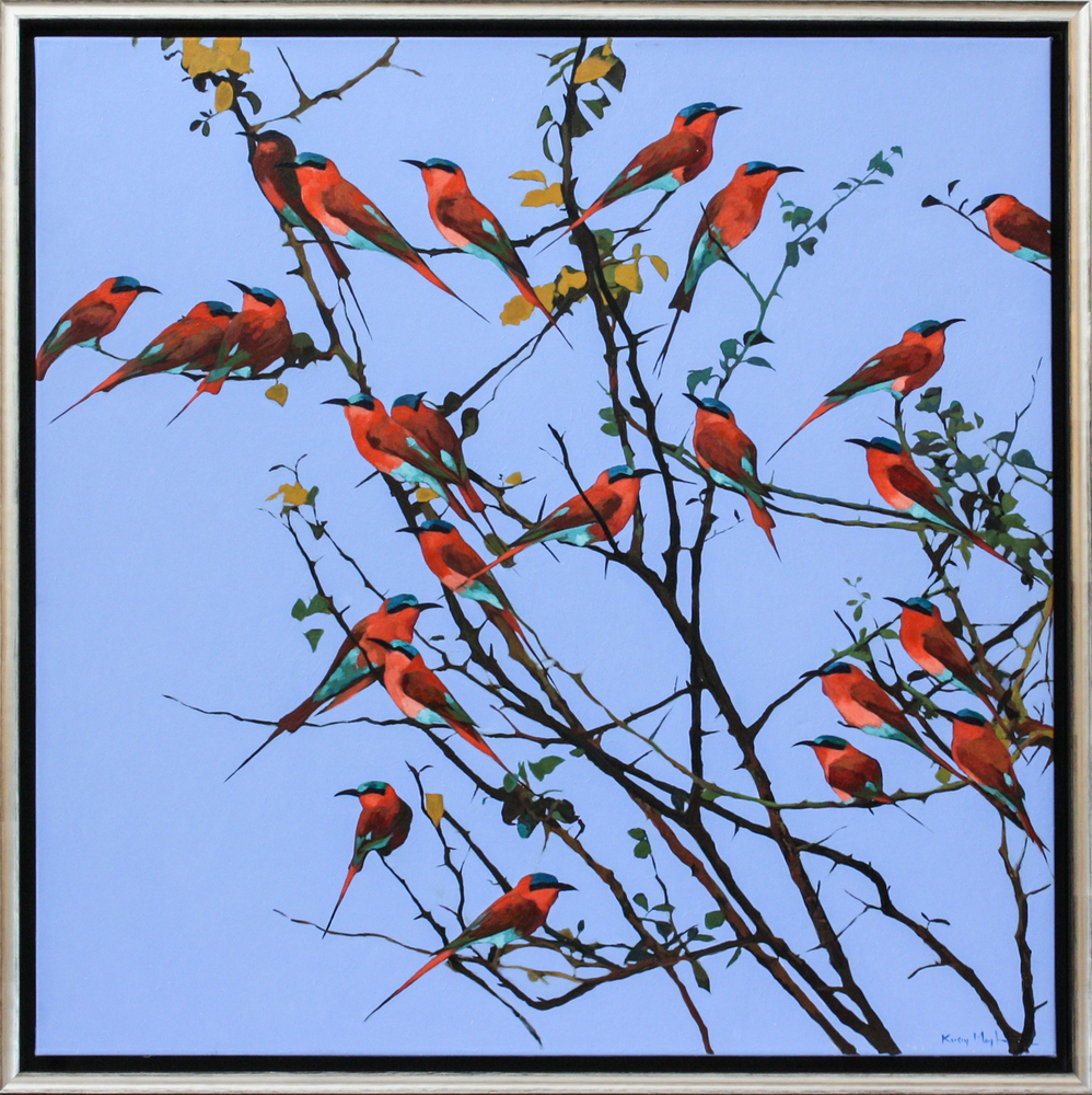 Kirsty May Hall - SOUTHERN CARMINE BEE EATERS - ACRYLIC ON  CANVAS - 39 1/4 X 39