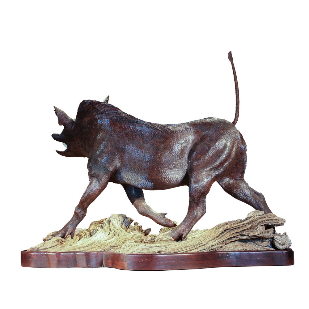 Mopho Gonde - POSER - LEADWOOD - 33 X 42 X 24